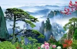 1757940291249.webp