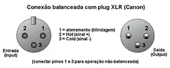 conexoes_xlr.webp