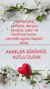 a9af999b671f840a1308ede9f13e3cad.webp