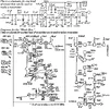 1wattsch.webp