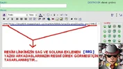 7.webp