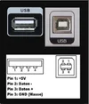 usbpinbaglanti.webp