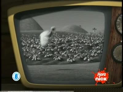 canal8-nica.jpg