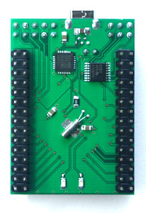 ATmega128_USB_TinyBoard_ShowB.jpg