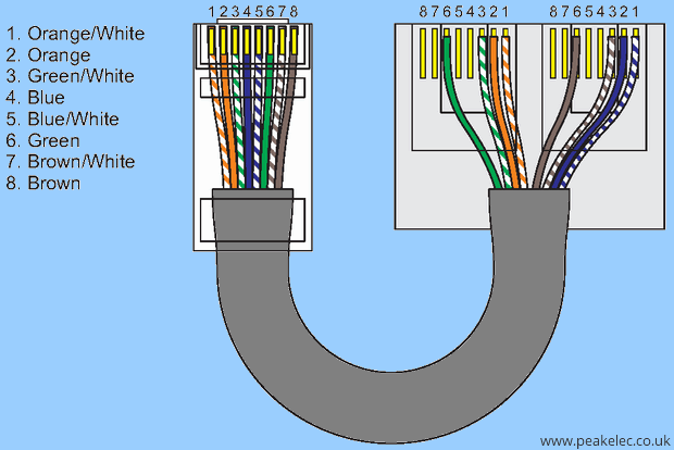 rj45-cat5-ethernet-economiser.png