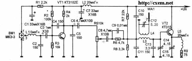 radiomic35.jpg